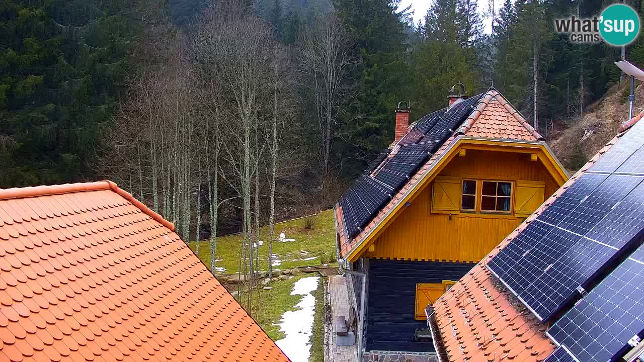 Webcam Lukanja – Pohorje houses a Water village