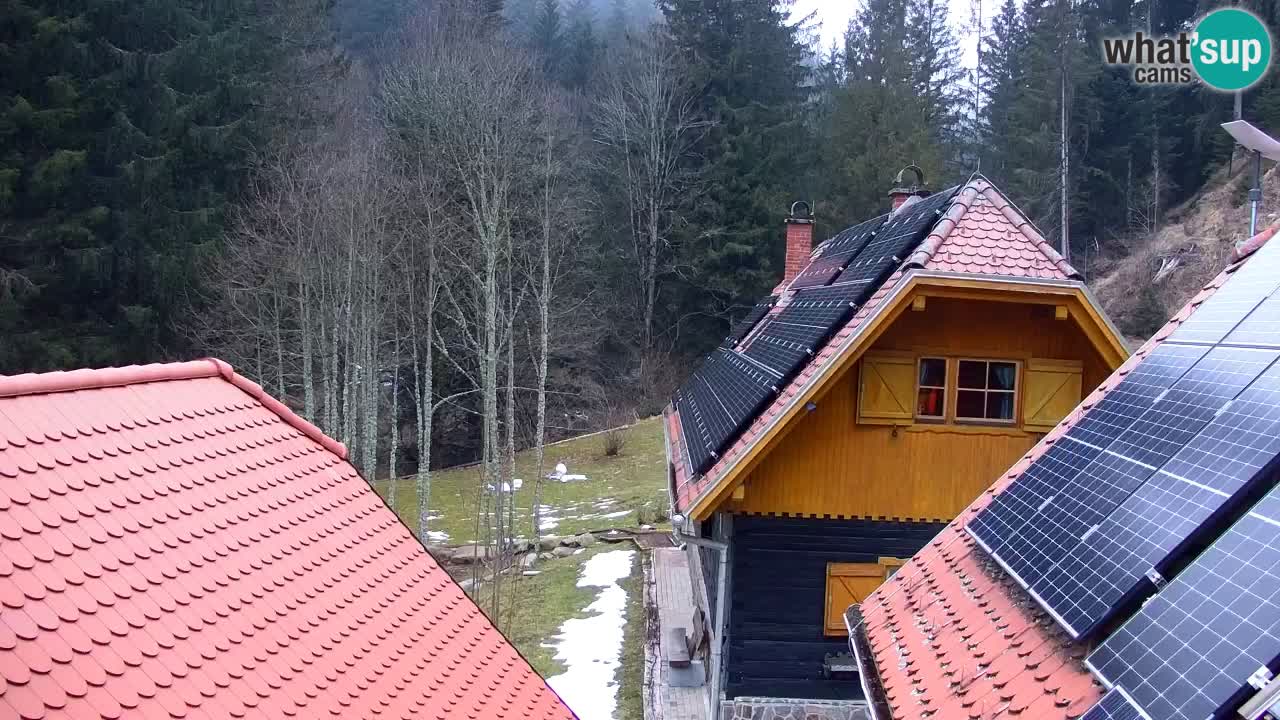 Spletna kamera Lukanja – Water Village | Pohorje Houses