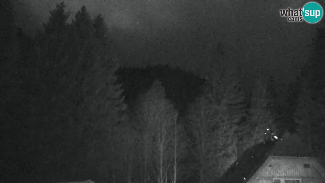 Webcam Lukanja – Pohorje houses a Water village