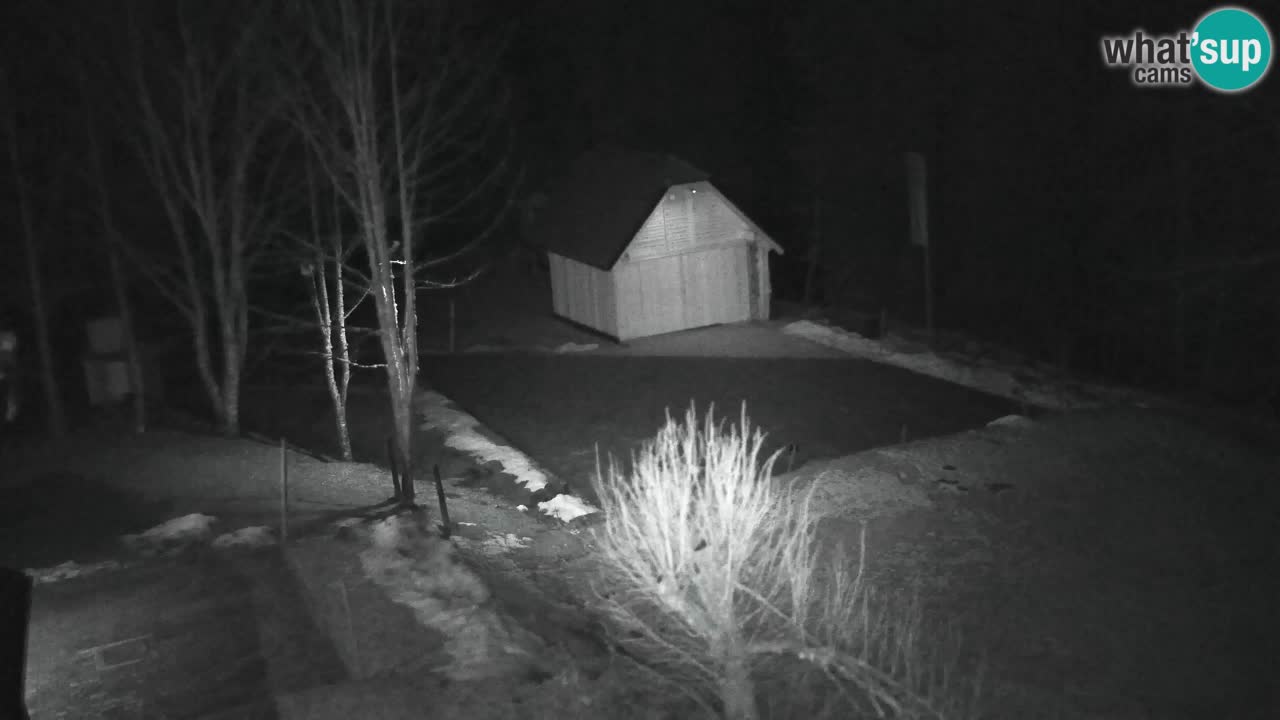 Webcam Lukanja – Water Village | Pohorje Houses