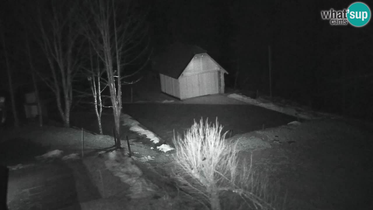 Webcam Lukanja – Water Village | Pohorje Houses