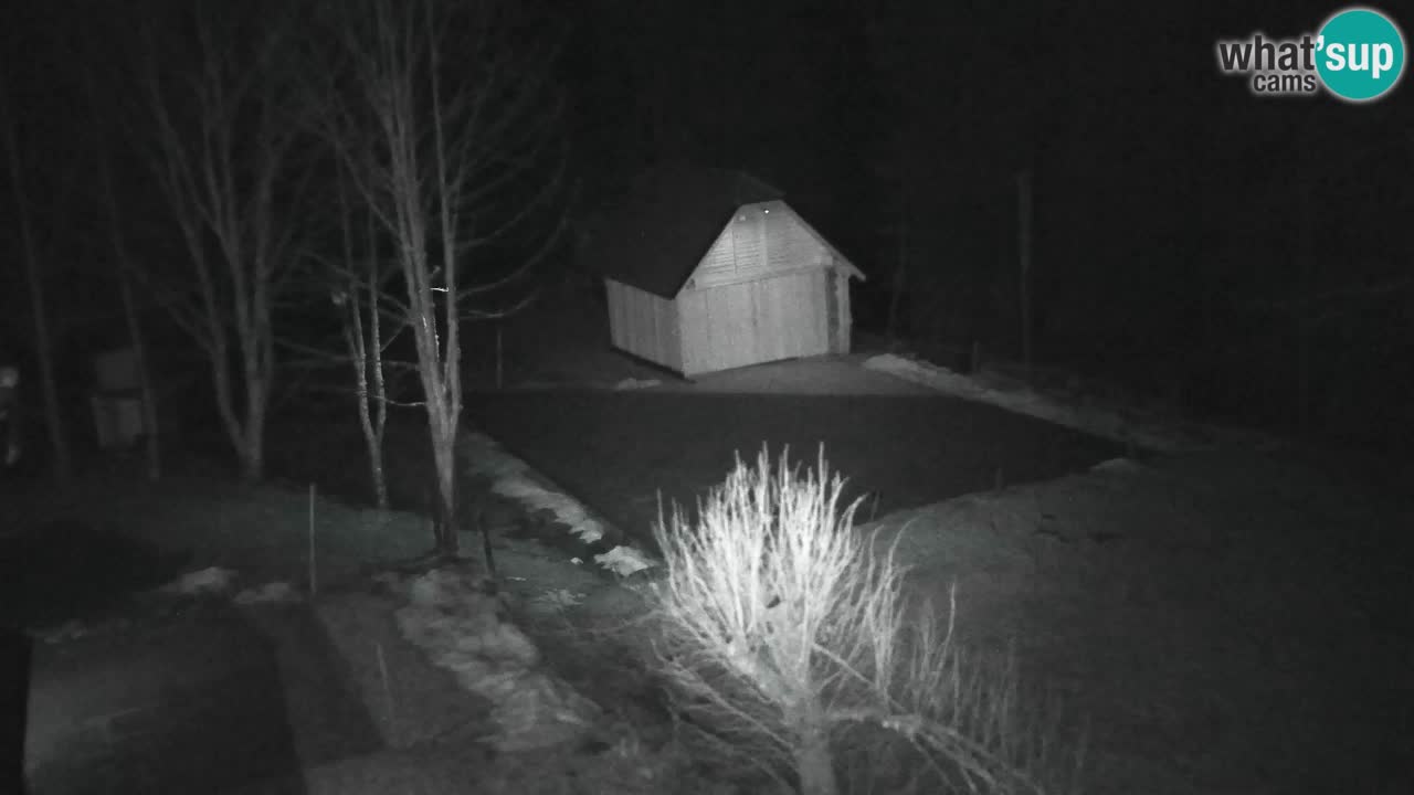 Webcam Lukanja – Water Village | Pohorje Houses