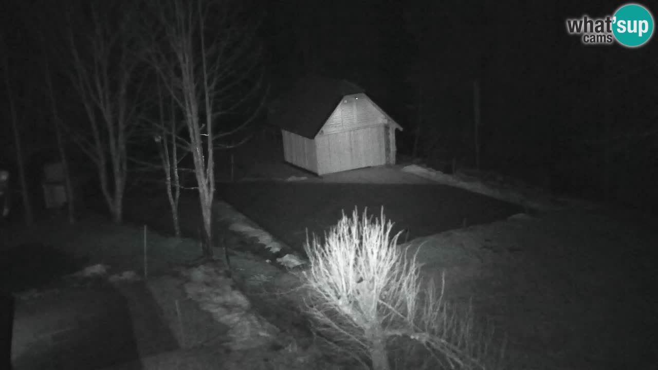 Webcam Lukanja – Water Village | Pohorje Houses