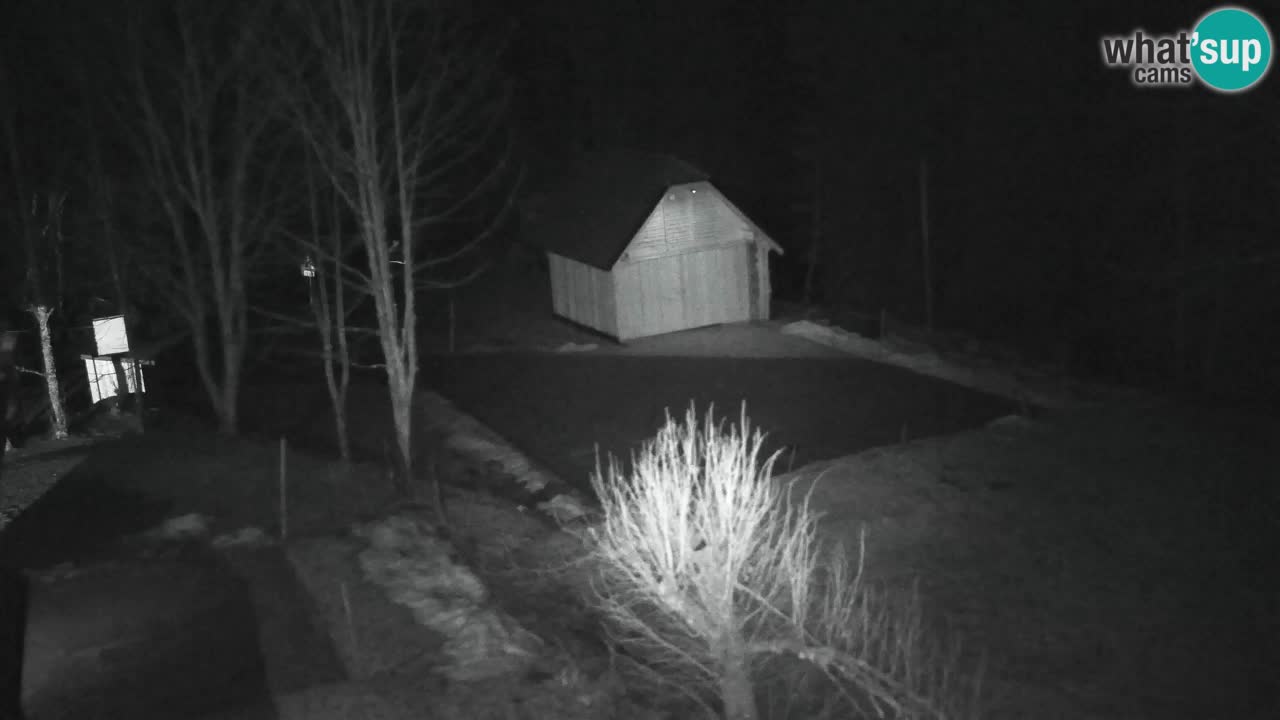 Webcam Lukanja – Pohorje houses a Water village