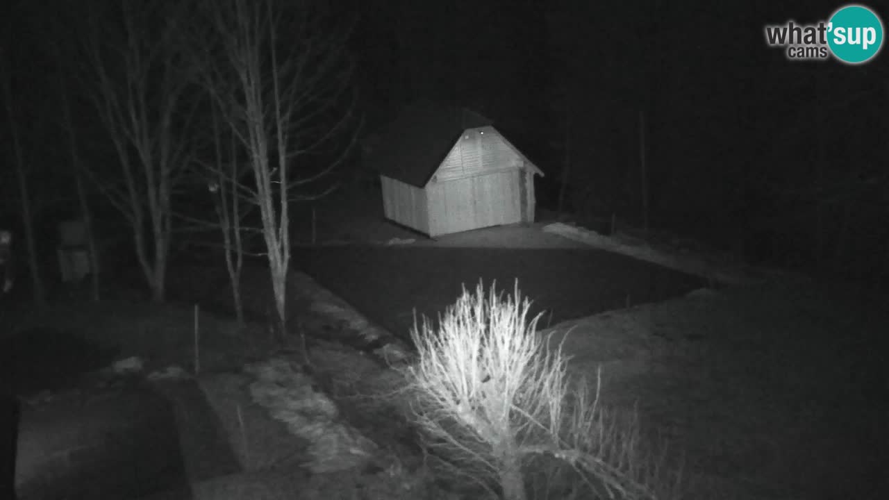 Webcam Lukanja – Water Village | Pohorje Houses