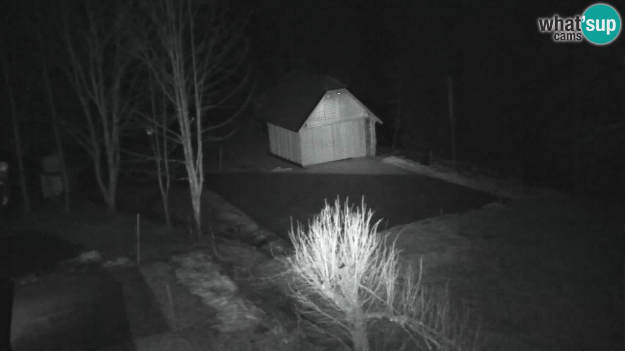 Webcam Lukanja – Water Village | Pohorje Houses