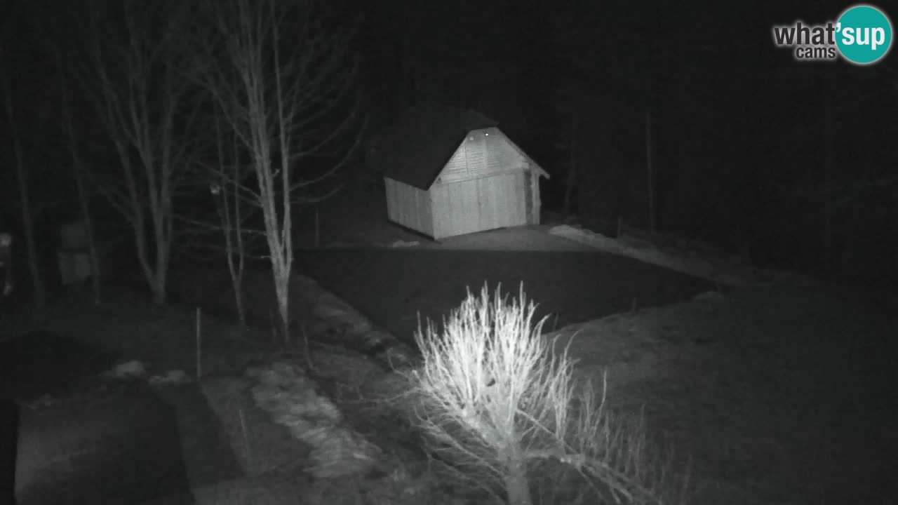 Webcam Lukanja – Water Village | Pohorje Houses