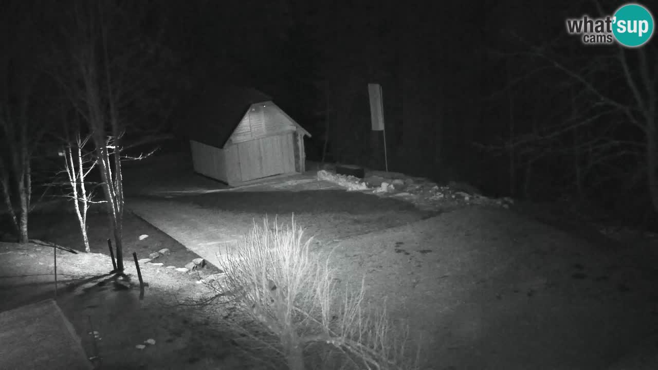 Webcam Lukanja – Pohorje houses a Water village