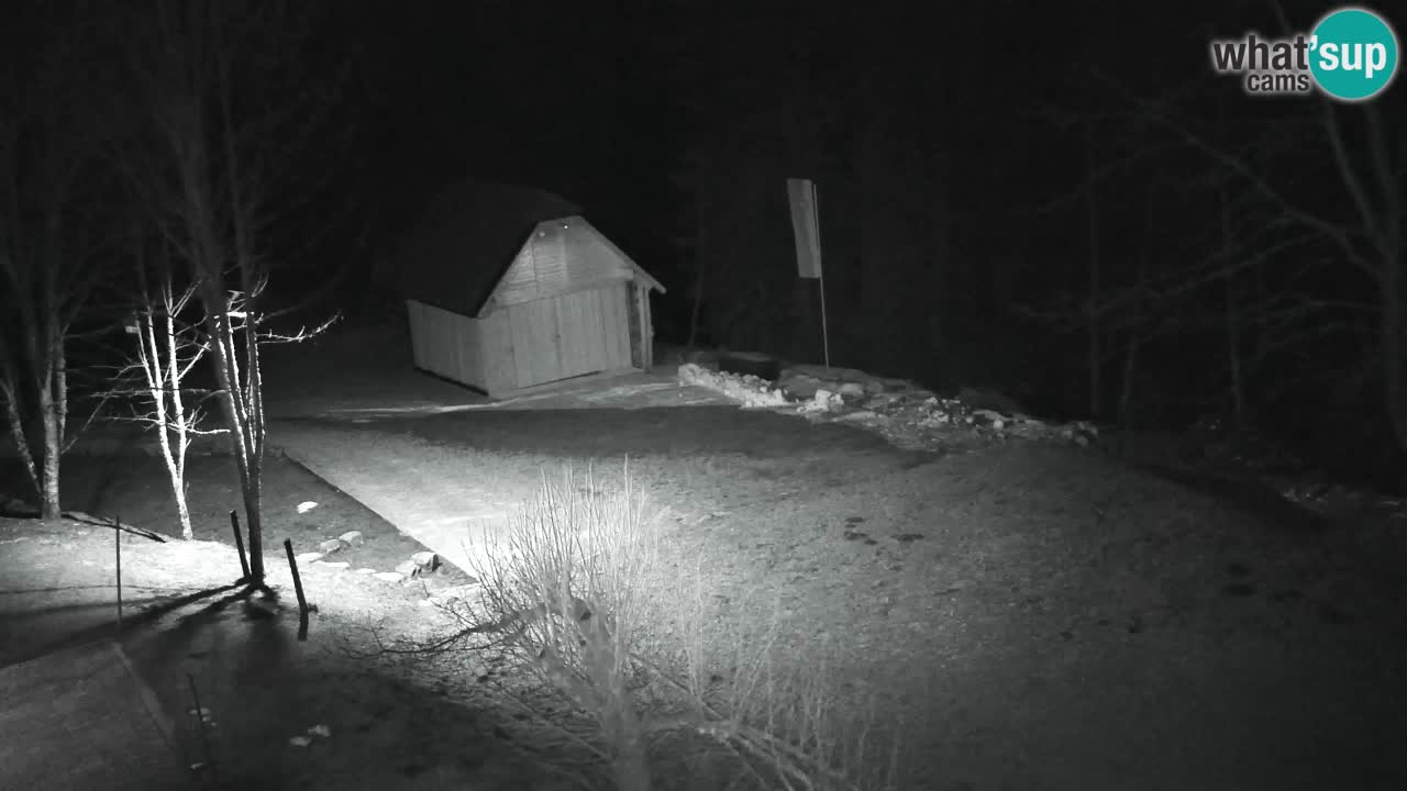 Web kamera Lukanja – Water Village | Pohorje Houses