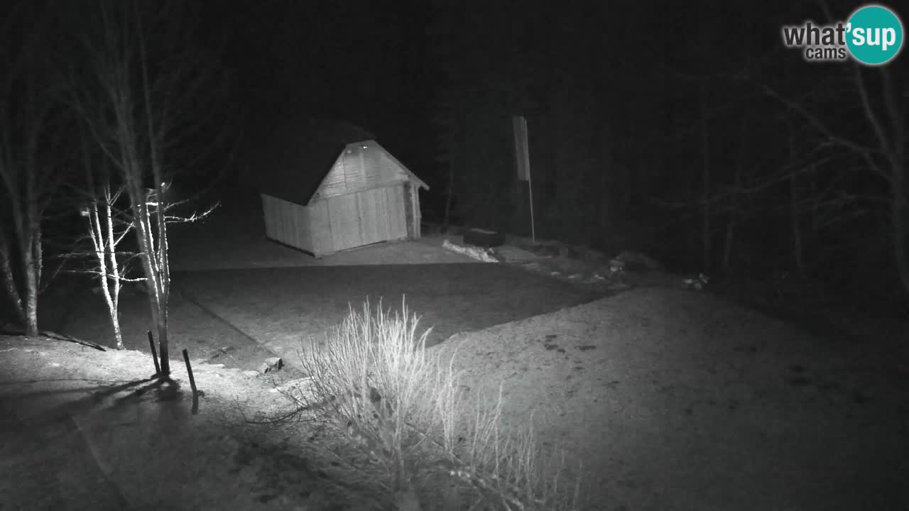 Webcam Lukanja – Water Village | Pohorje Houses