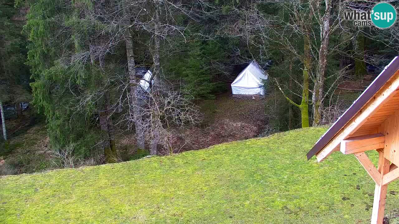 Webcam Lukanja – Pohorje houses a Water village