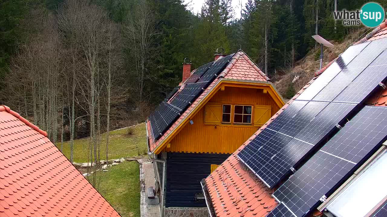Spletna kamera Lukanja – Water Village | Pohorje Houses