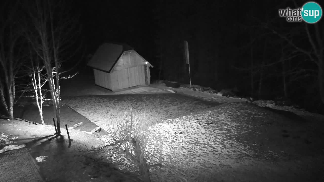 Webcam Lukanja – Water Village | Pohorje Houses