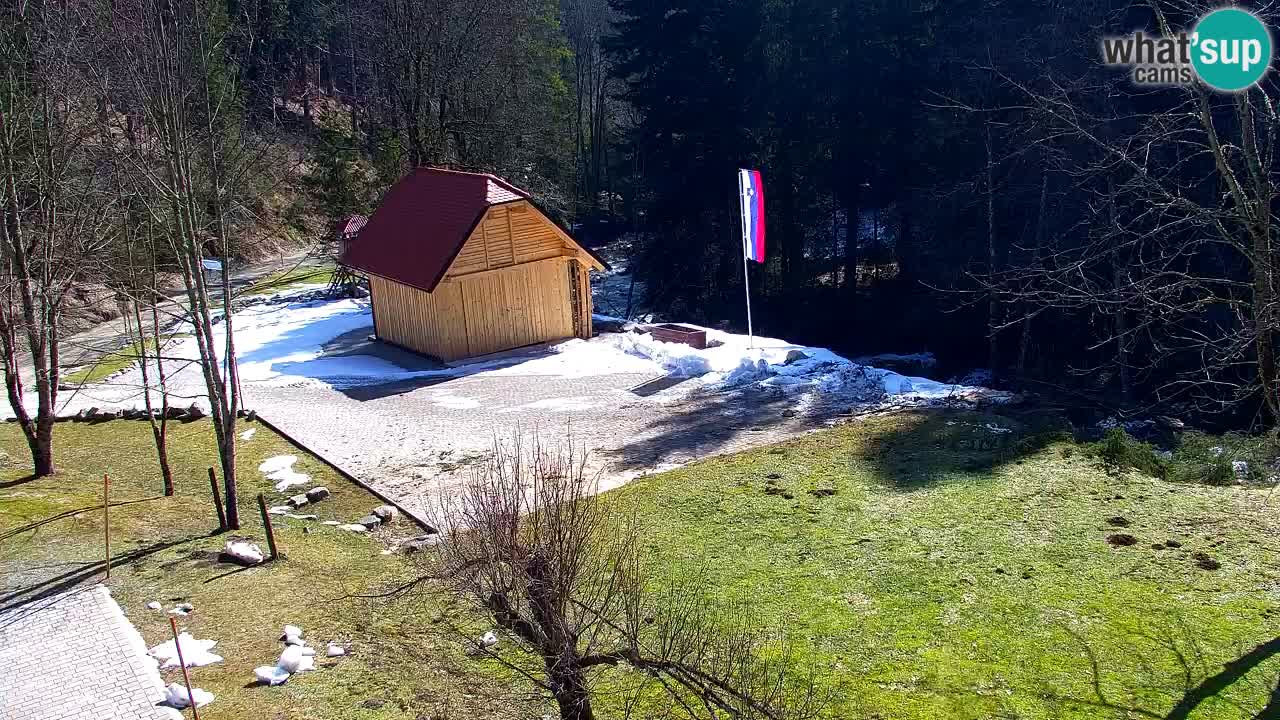 Webcam Lukanja – Pohorje houses a Water village