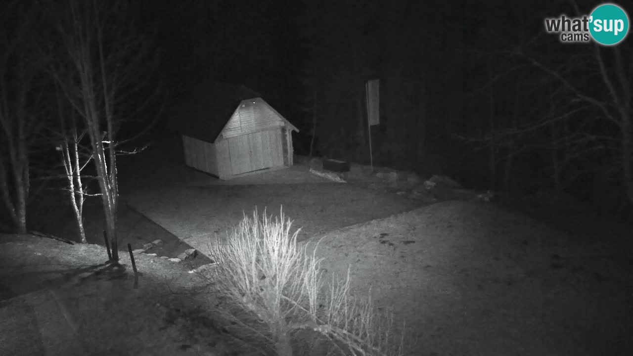 Webcam Lukanja – Pohorje houses a Water village