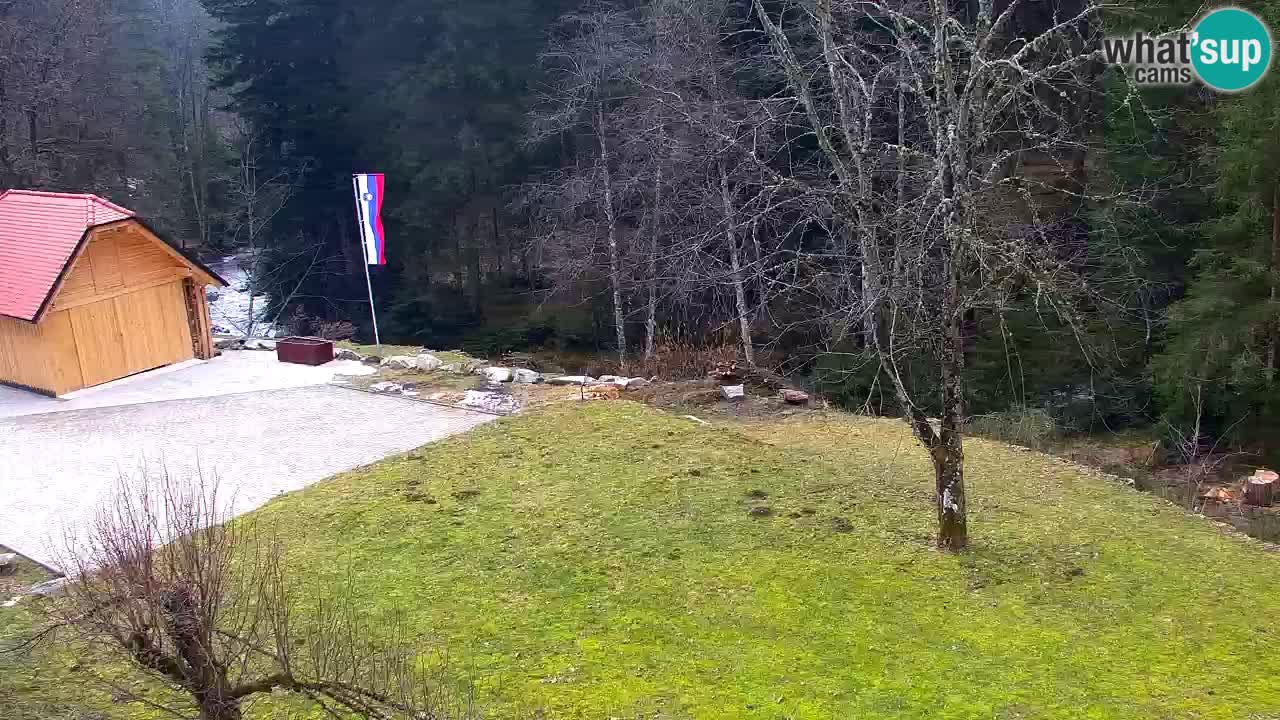 Webcam Lukanja – Pohorje houses a Water village