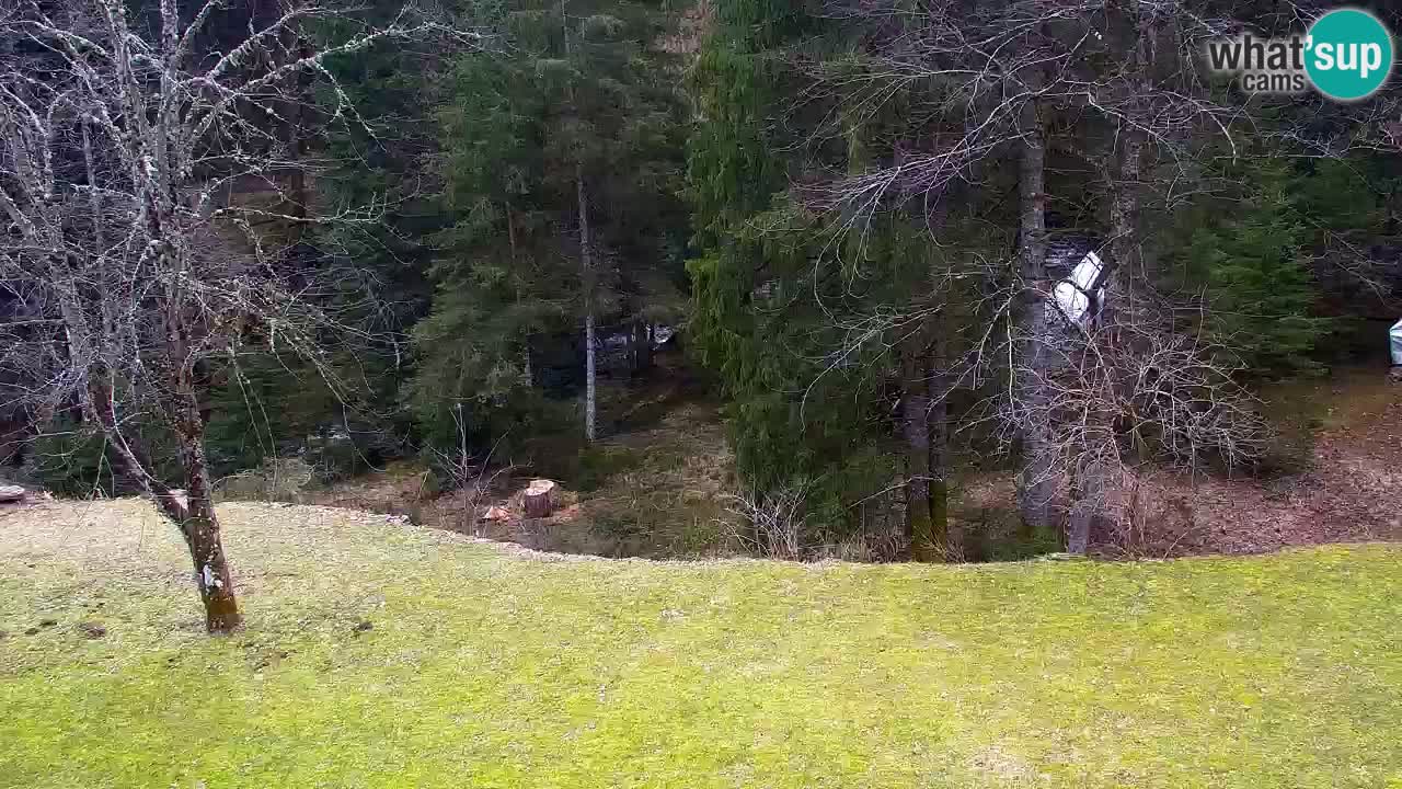 Web kamera Lukanja – Water Village | Pohorje Houses