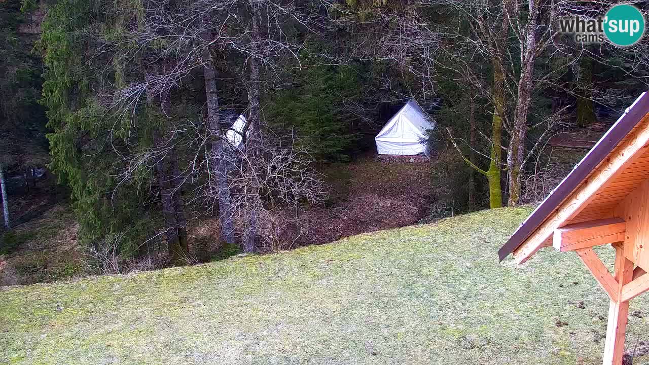 Spletna kamera Lukanja – Water Village | Pohorje Houses