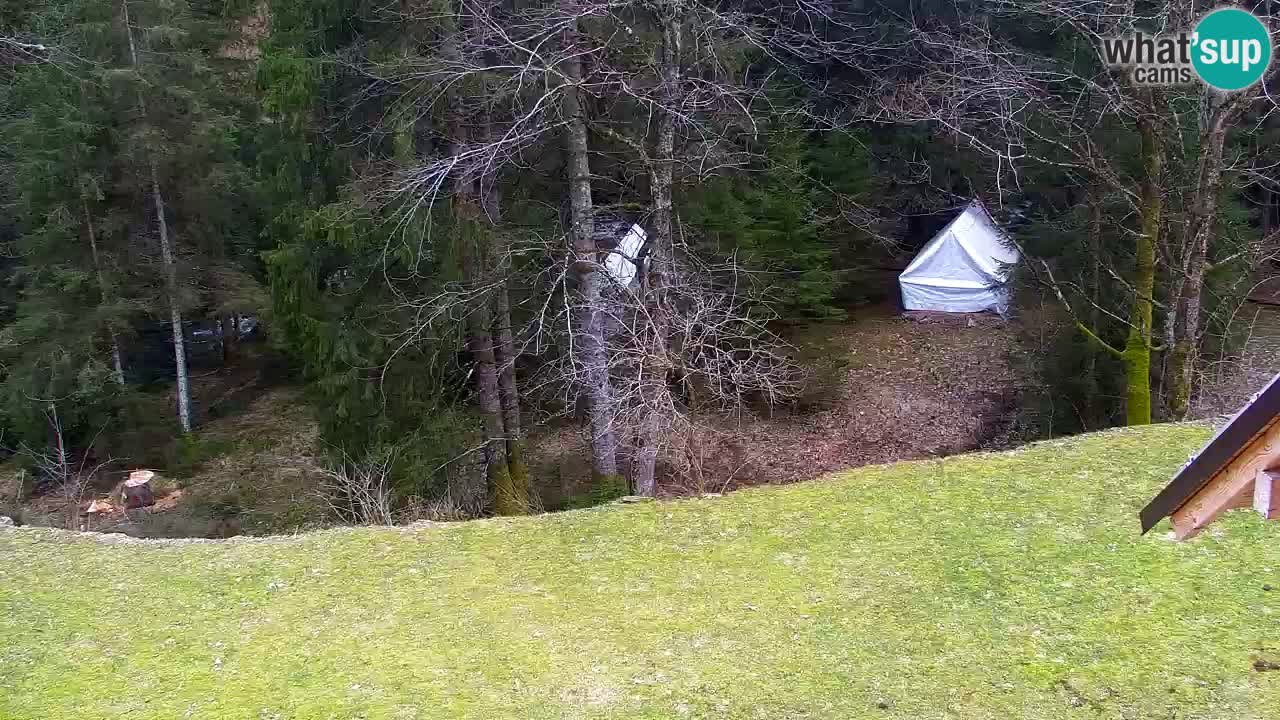 Webcam Lukanja – Water Village | Pohorje Houses