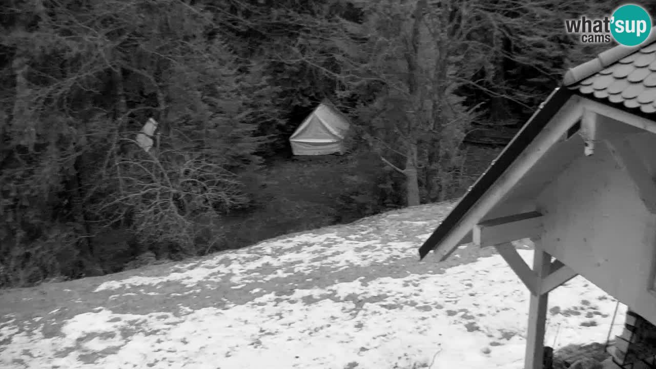 Web kamera Lukanja – Water Village | Pohorje Houses