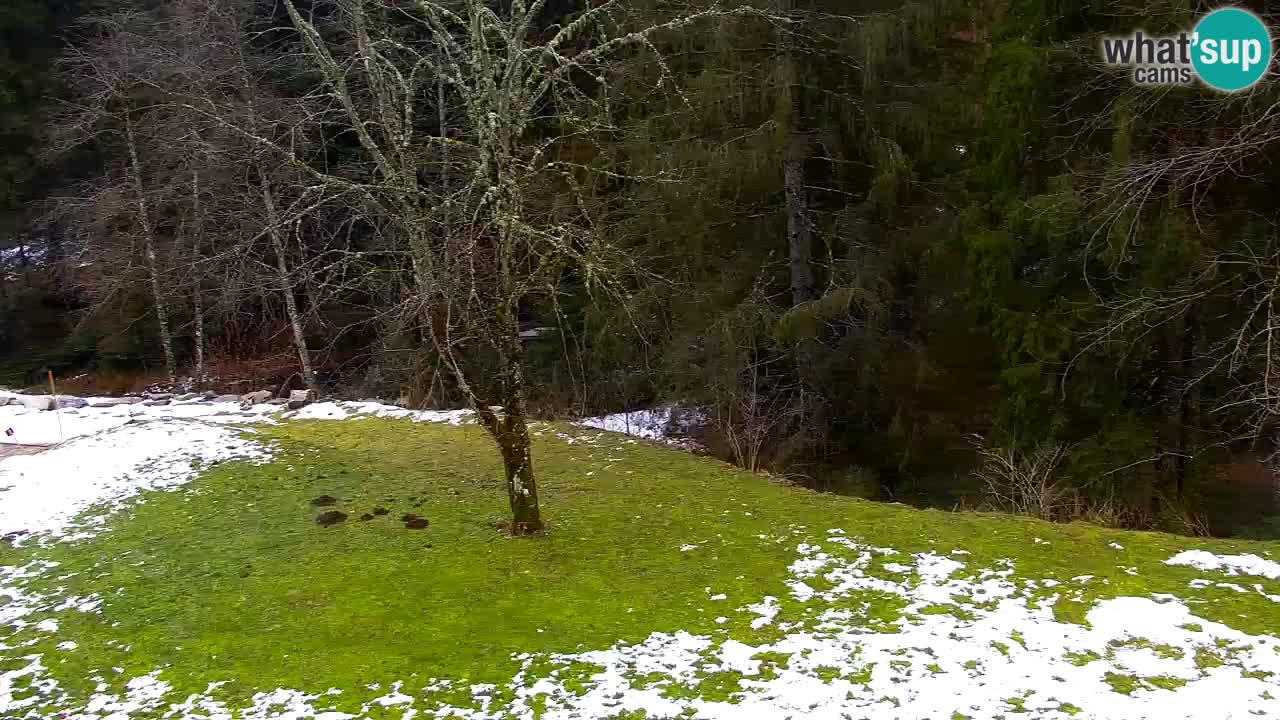 Webcam Lukanja – Water Village | Pohorje Houses