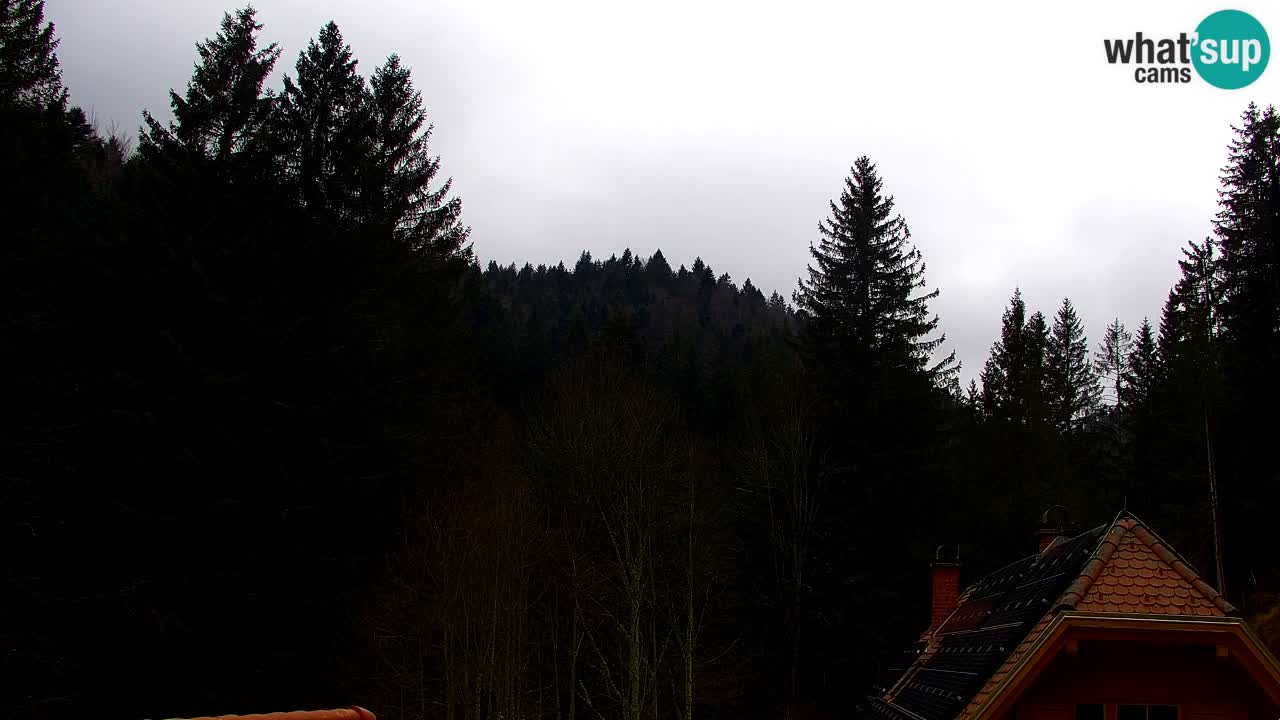 Webcam Lukanja – Pohorje houses a Water village