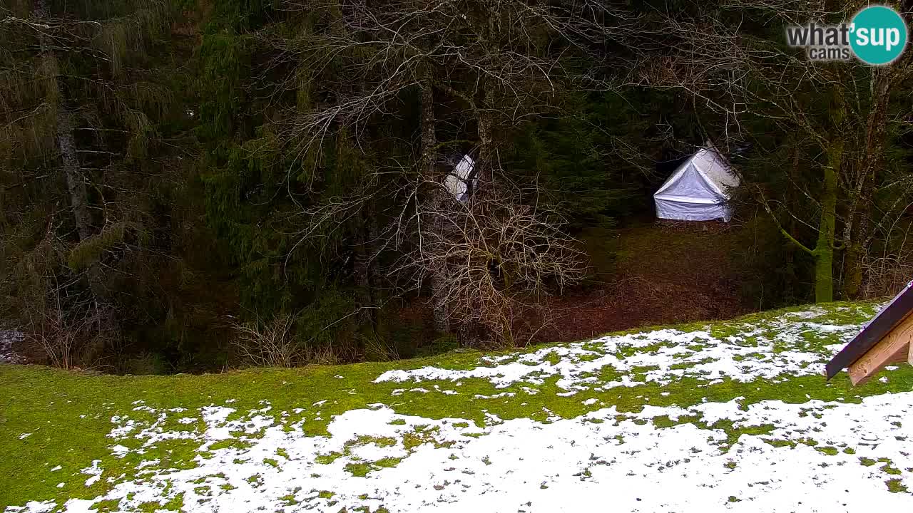 Webcam Lukanja – Pohorje houses a Water village