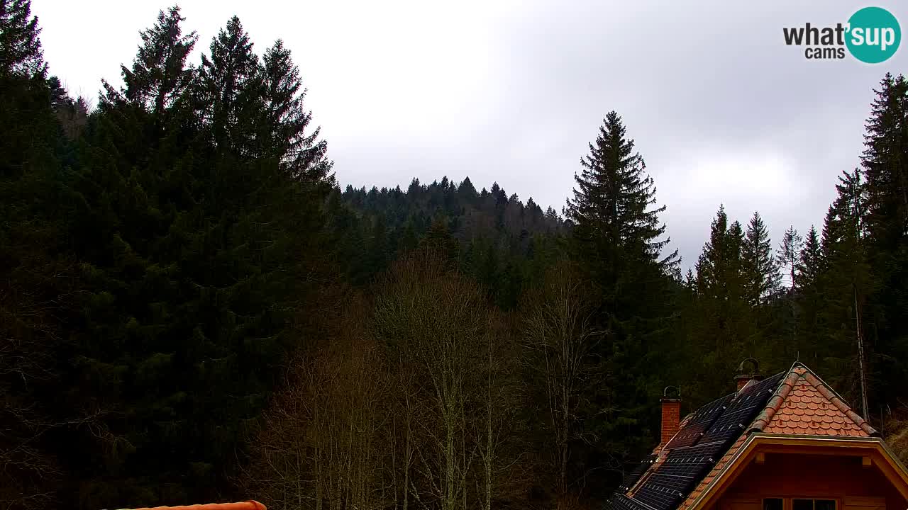 Webcam Lukanja – Pohorje houses a Water village