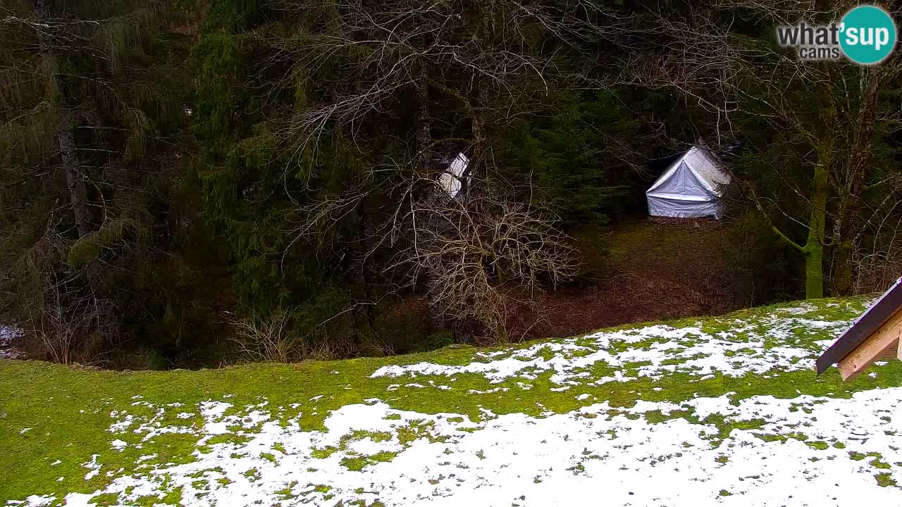 Webcam Lukanja – Pohorje houses a Water village