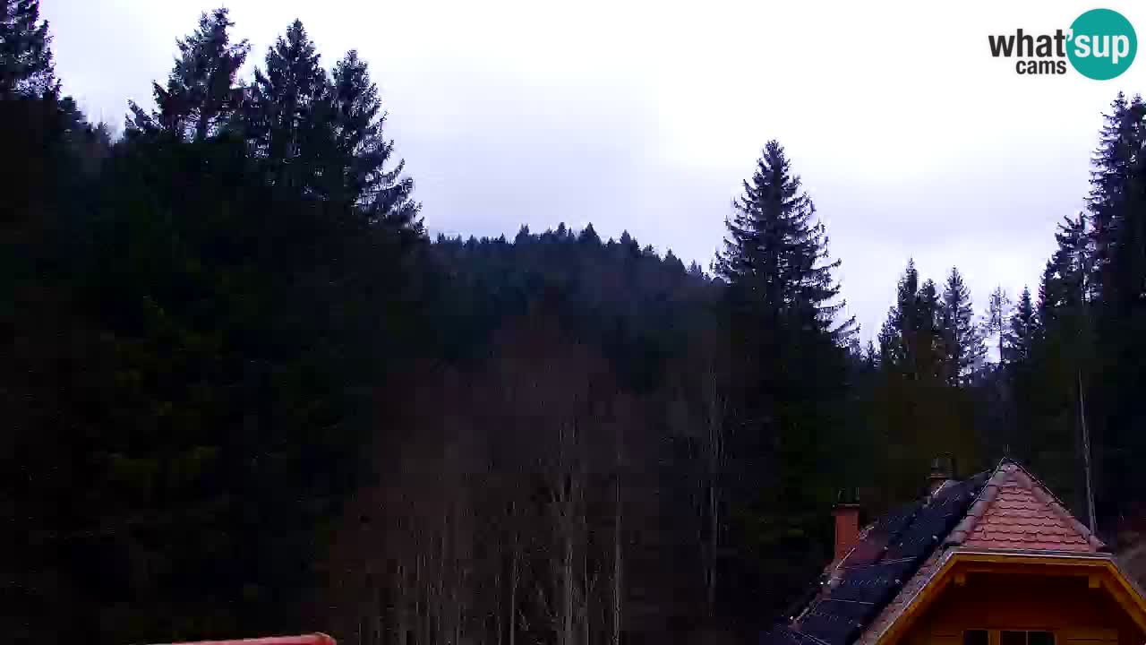 Spletna kamera Lukanja – Water Village | Pohorje Houses