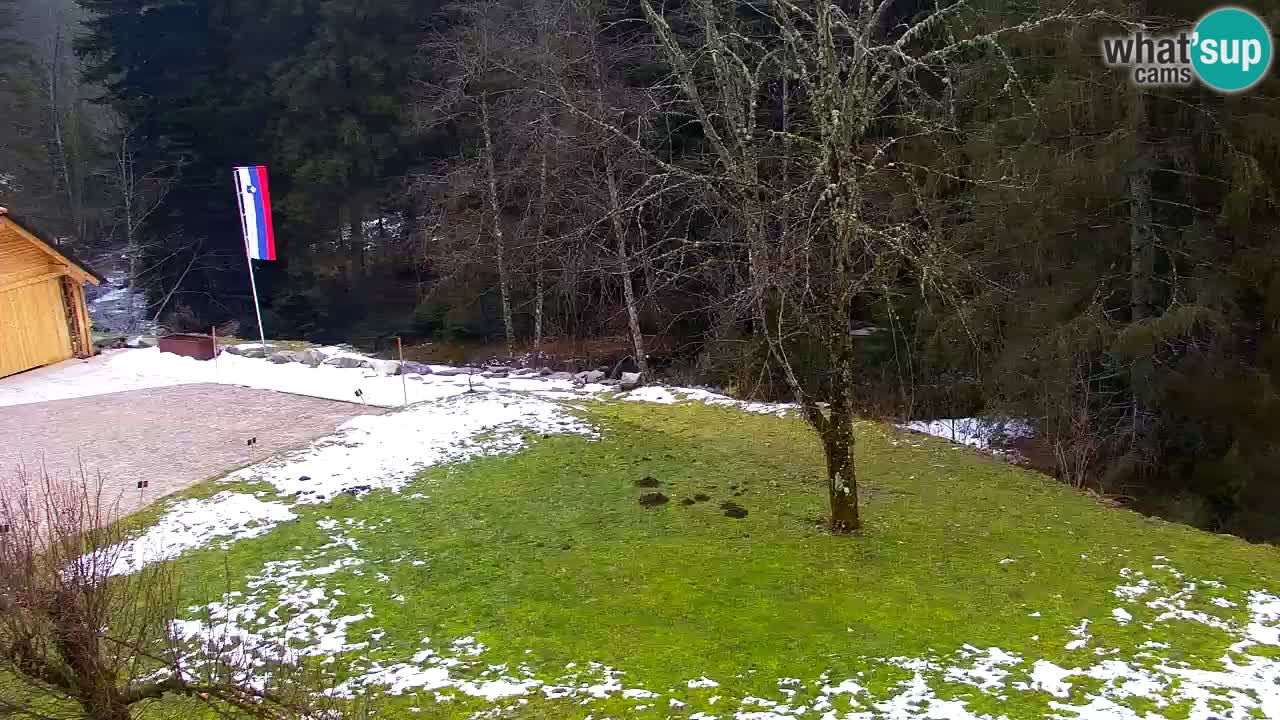 Webcam Lukanja – Pohorje houses a Water village