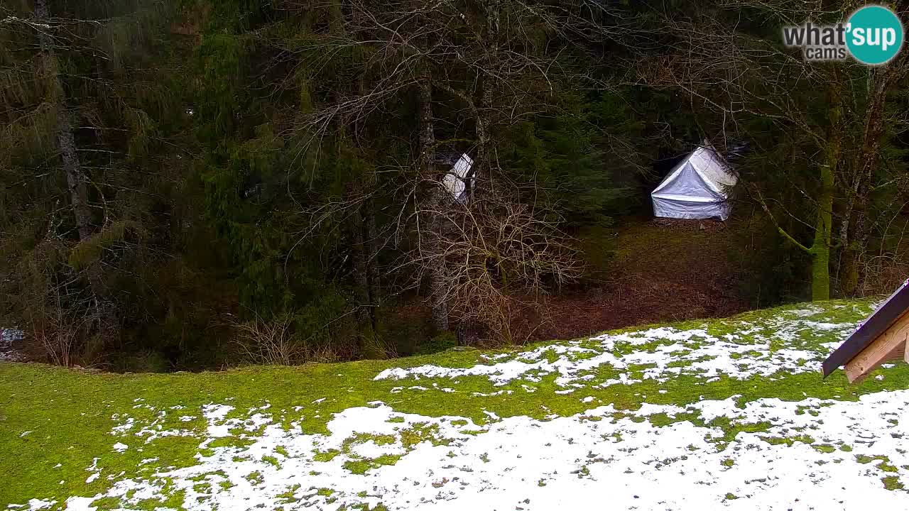 Webcam Lukanja – Pohorje houses a Water village