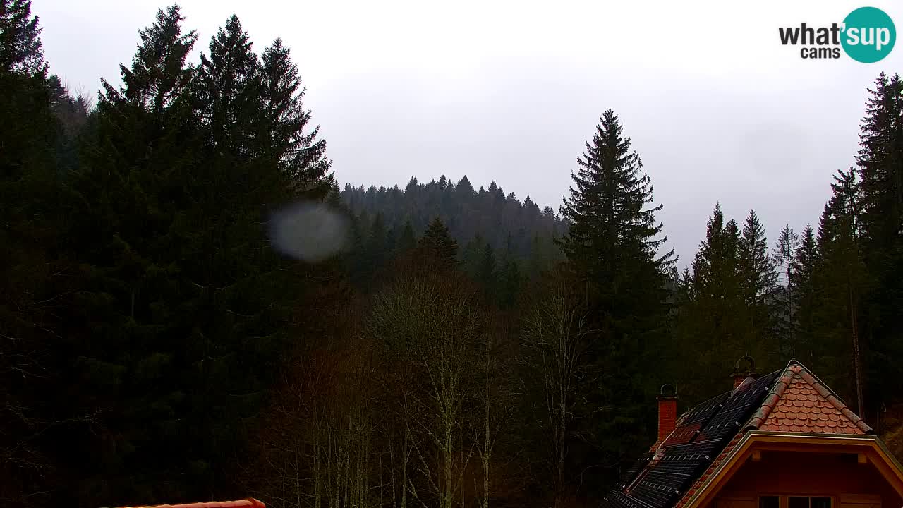 Webcam Lukanja – Water Village | Pohorje Houses