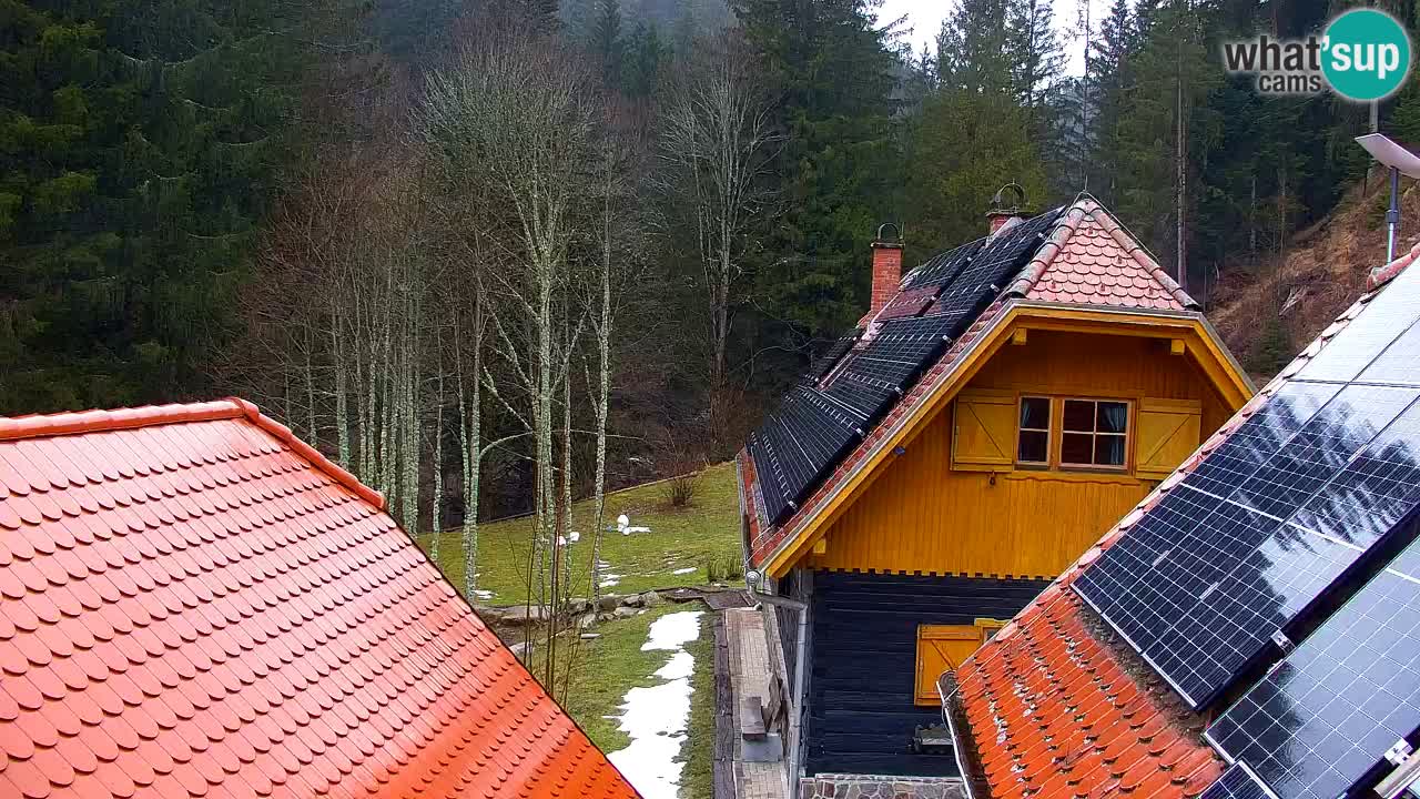 Webcam Lukanja – Water Village | Pohorje Houses