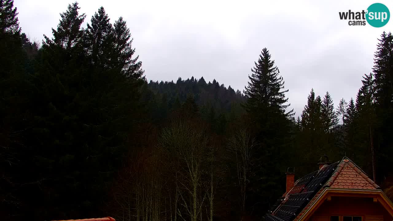 Webcam Lukanja – Pohorje houses a Water village