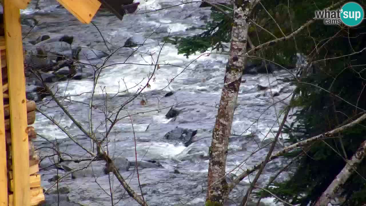 Webcam Lukanja – Water Village | Pohorje Houses