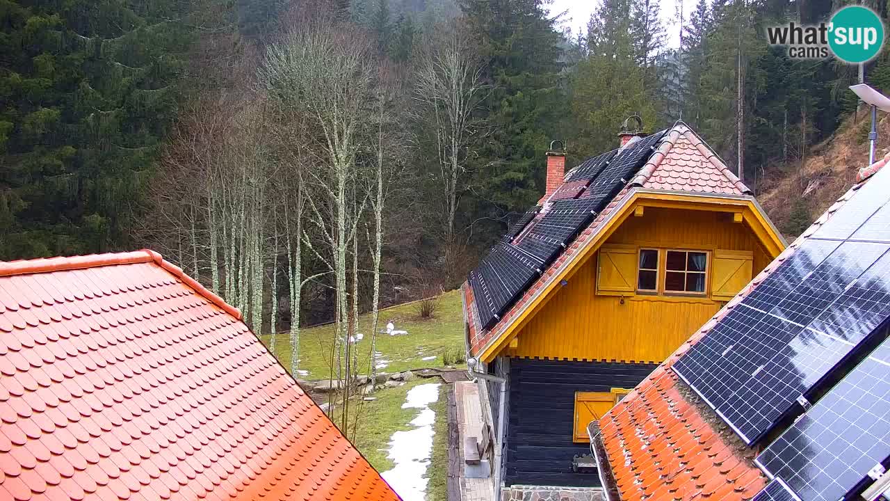 Webcam Lukanja – Water Village | Pohorje Houses