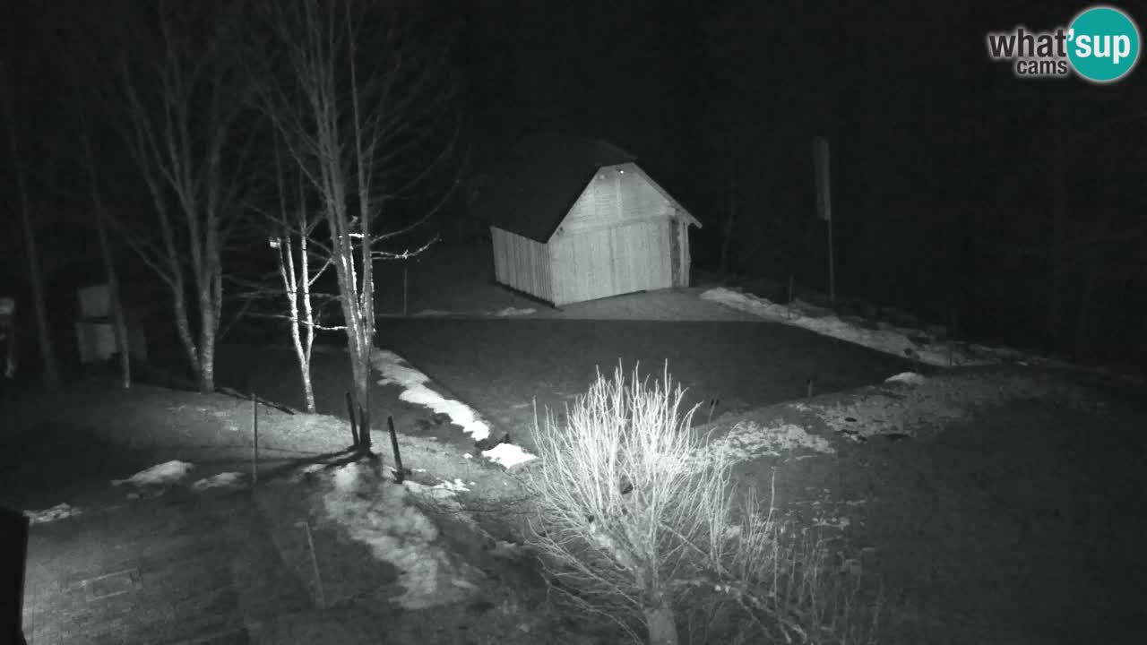 Webcam Lukanja – Water Village | Pohorje Houses