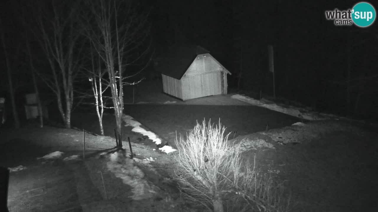 Webcam Lukanja – Pohorje houses a Water village