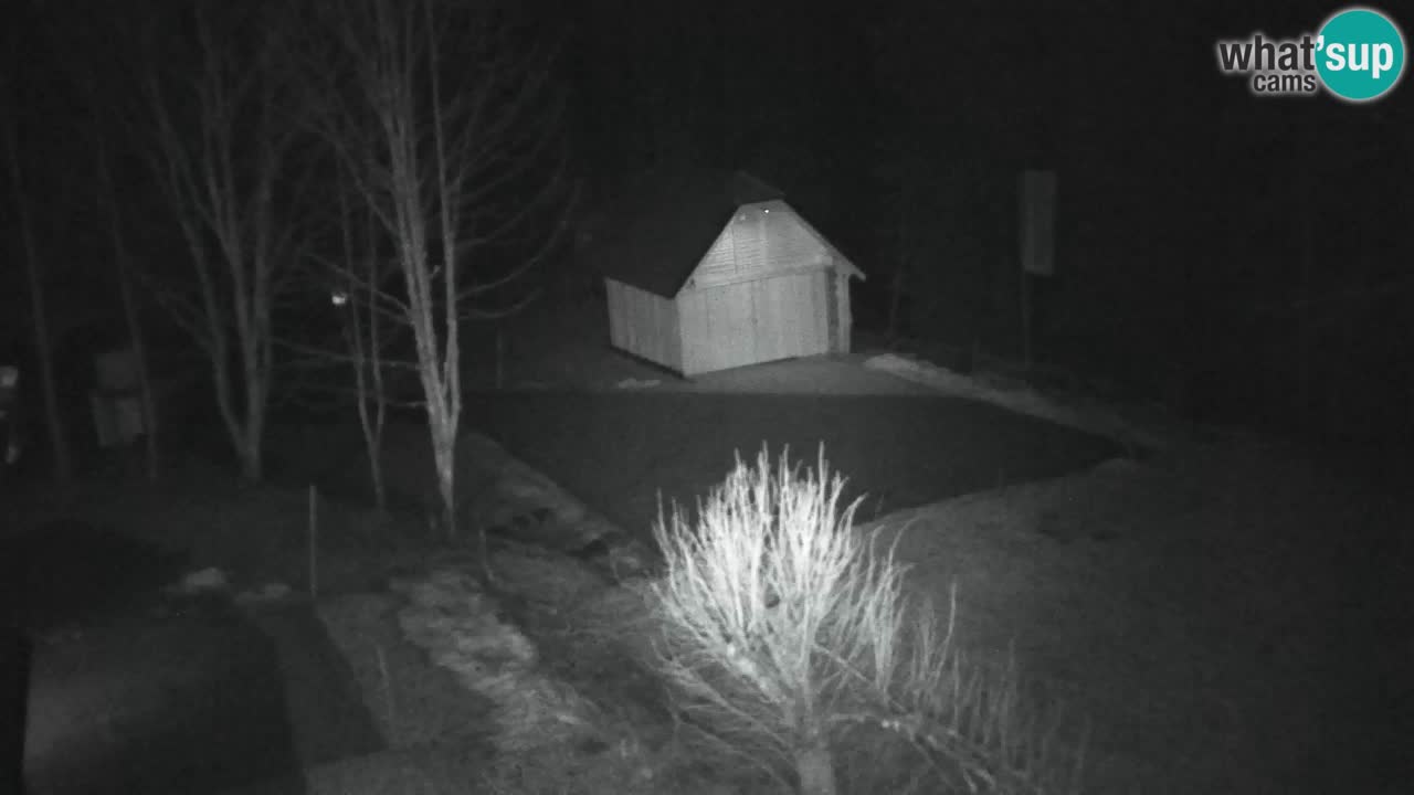 Webcam Lukanja – Water Village | Pohorje Houses