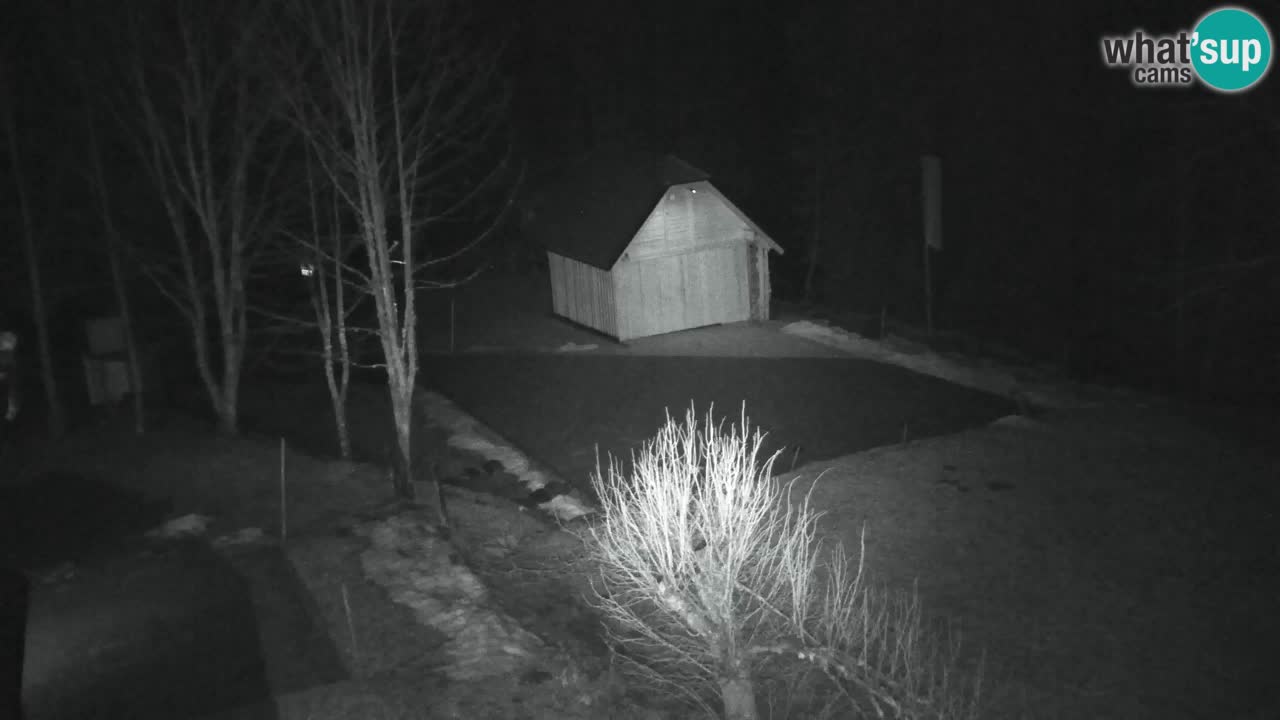 Webcam Lukanja – Water Village | Pohorje Houses