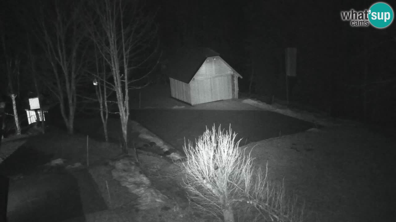 Webcam Lukanja – Water Village | Pohorje Houses