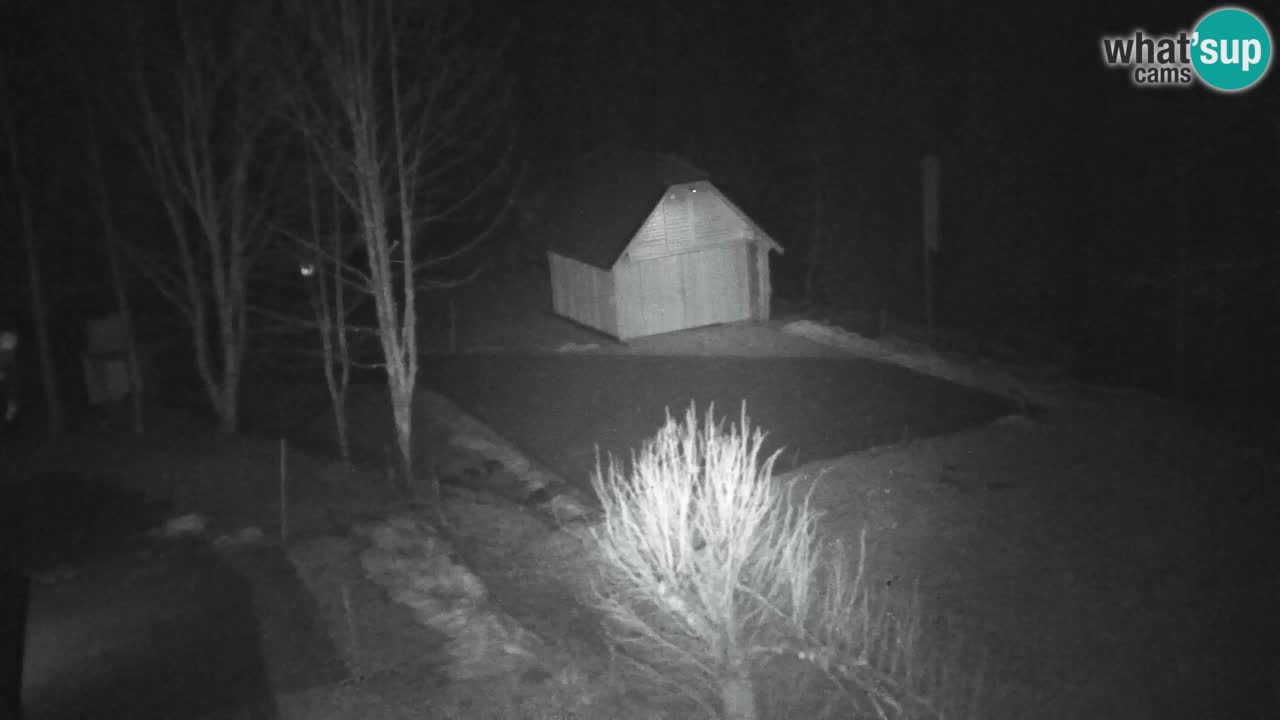 Webcam Lukanja – Water Village | Pohorje Houses