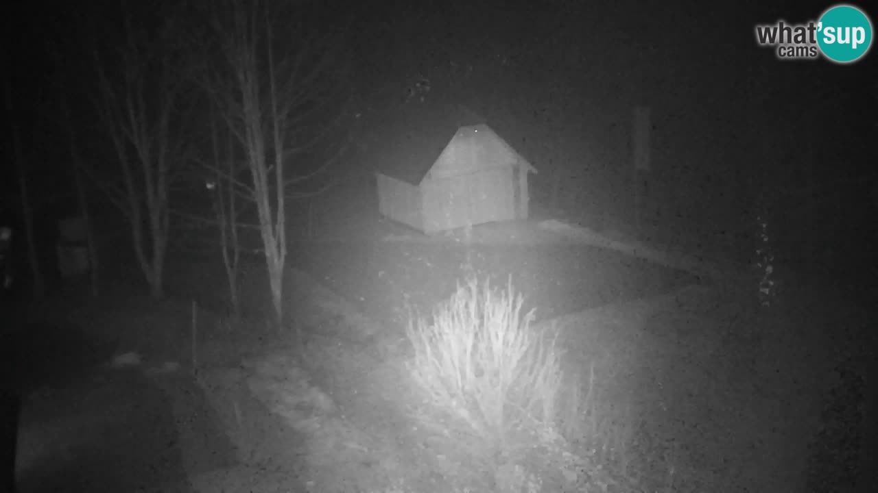 Webcam Lukanja – Water Village | Pohorje Houses