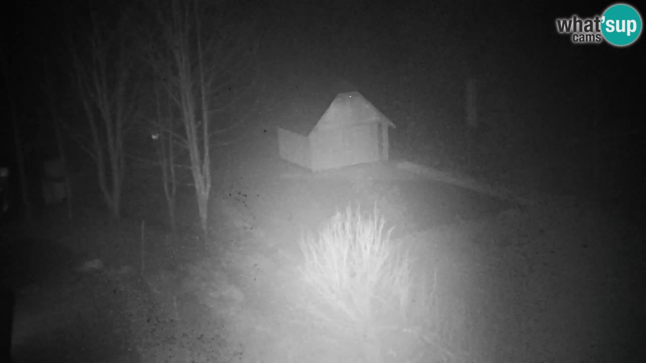 Spletna kamera Lukanja – Water Village | Pohorje Houses