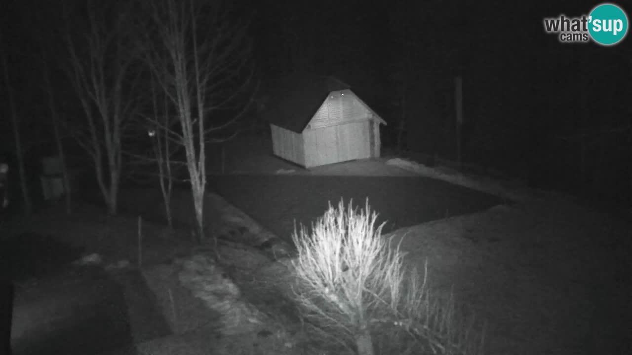 Webcam Lukanja – Pohorje houses a Water village