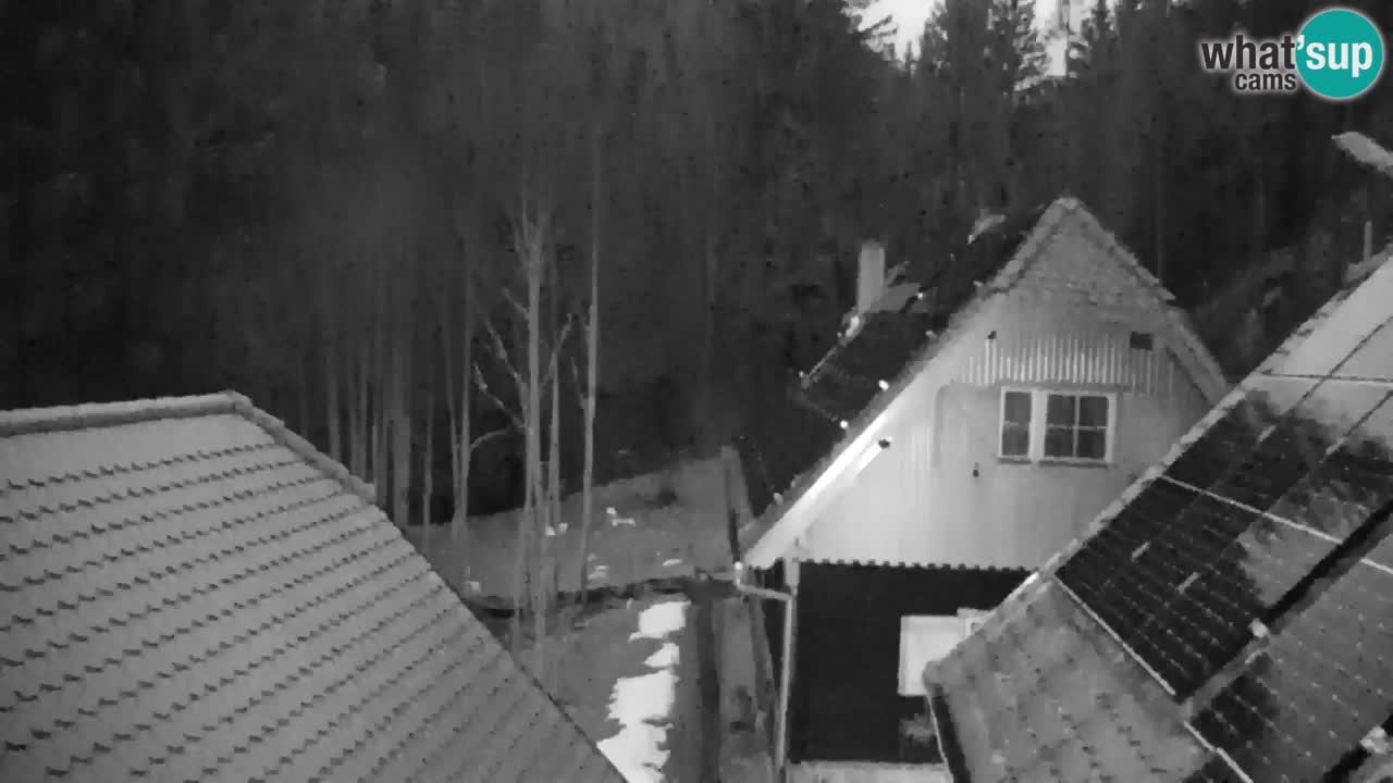 Webcam Lukanja – Water Village | Pohorje Houses