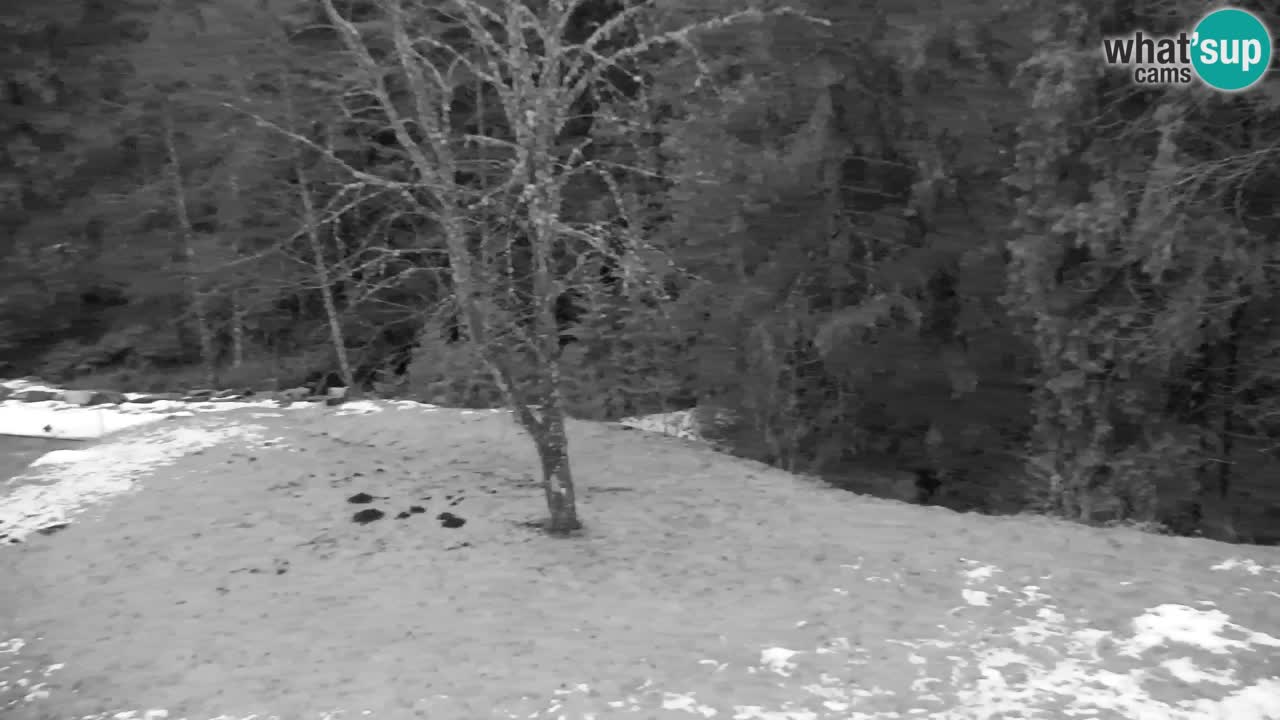 Webcam Lukanja – Water Village | Pohorje Houses