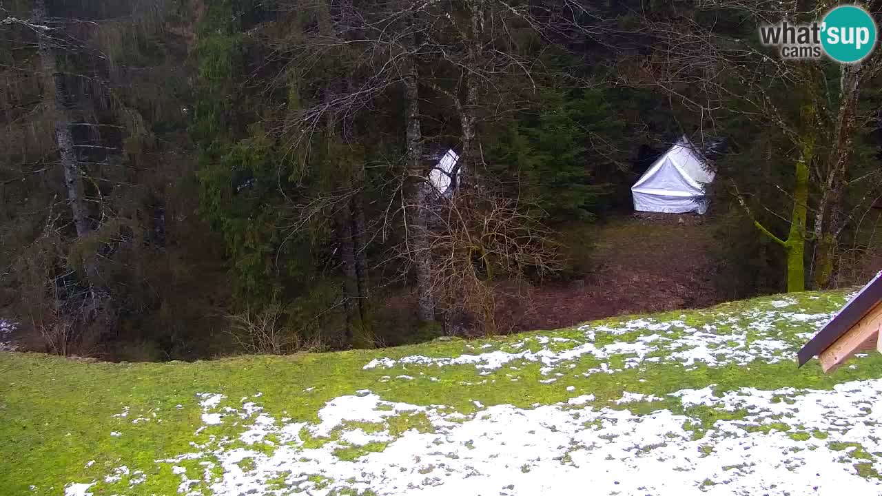 Webcam Lukanja – Water Village | Pohorje Houses