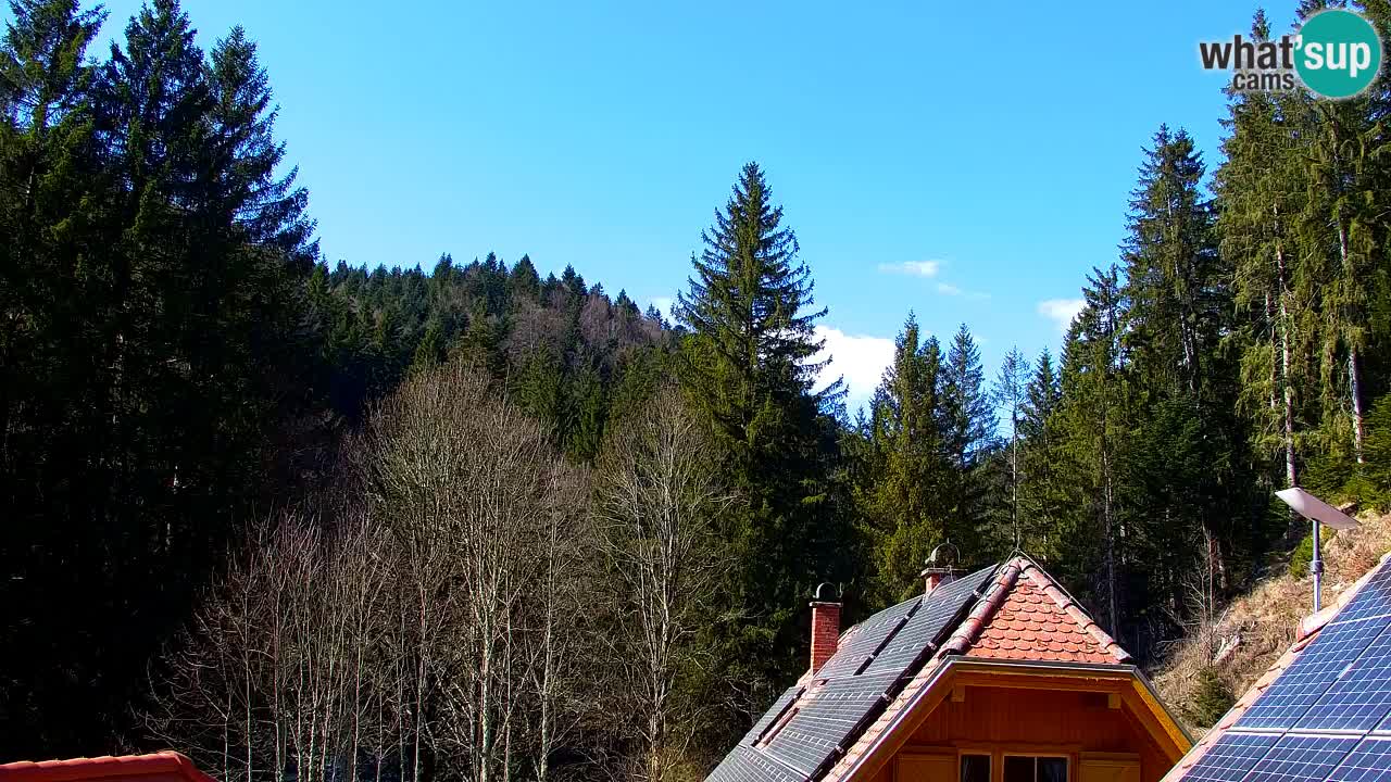 Webcam Lukanja – Water Village | Pohorje Houses